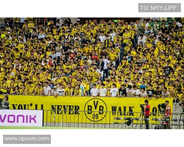 拜仁与多特蒙德巅峰对决精彩回顾及最新赛况分析 拜仁与多特蒙德巅峰对决精彩回顾及最新赛况分析