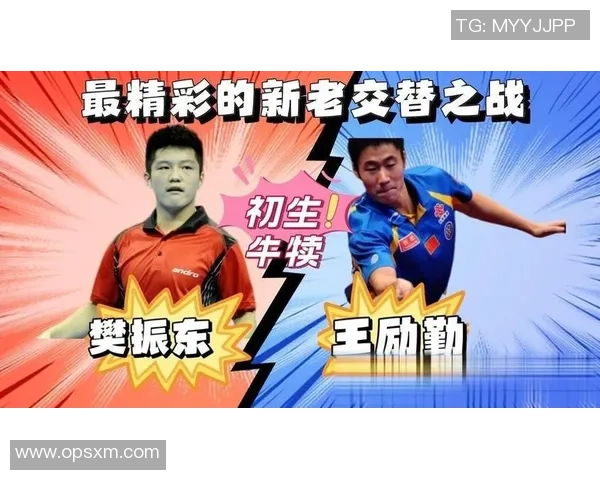 樊振东与王励勤的巅峰对决乒乓球传奇的传承与创新之战