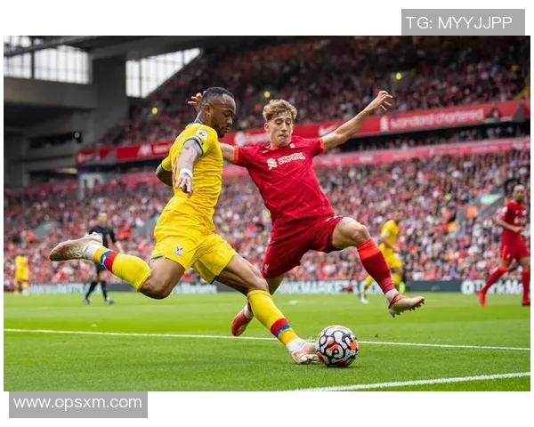 曼联与西布罗姆精彩对决集锦回顾，重温激情时刻与精彩进球