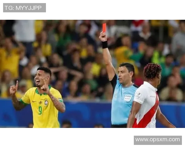 秘鲁与丹麦比赛中黄牌数对比分析及其影响探讨