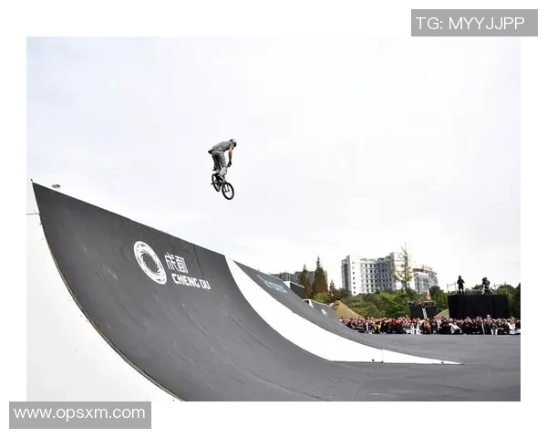 成都极限运动队耐力对比深度解析与训练策略探讨MBA