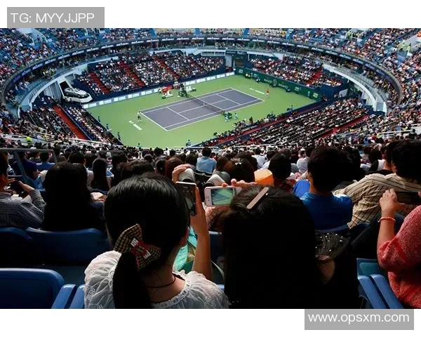 北京网球队在全国网球配合排行榜中荣获第八名的佳绩分析MBA