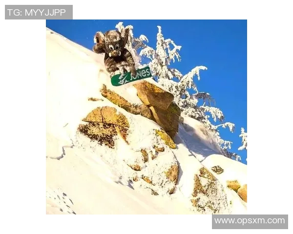 哈德森的奇妙旅程探索未知世界的无限可能与冒险精神