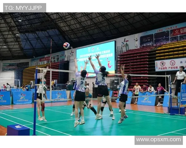 广州排球队的战术变革与深度解析排球运动的未来发展之路