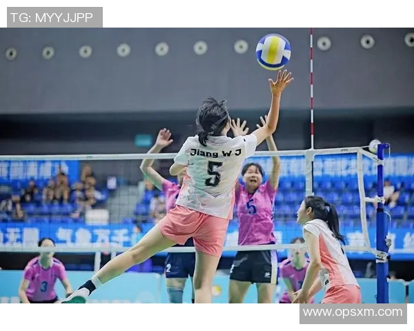 成都排球队的转型之路：从传统到现代的全面革新探索MBA