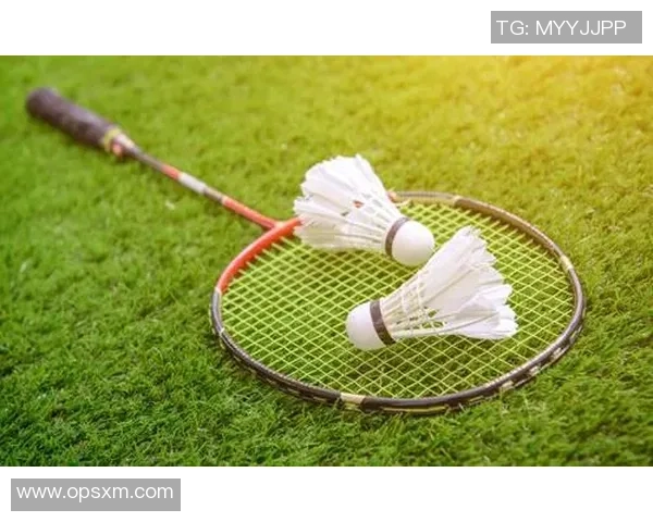 武汉羽毛球队的节奏与风采：聚焦羽毛球运动的魅力与发展