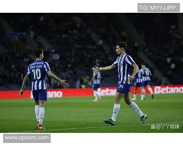 波黑与白俄罗斯的较量揭示足球战术与团队协作的精彩对决