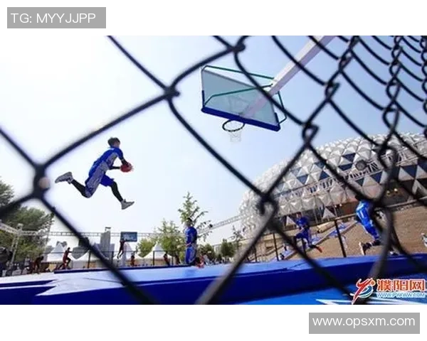 武汉极限运动队现状分析与发展前景探讨