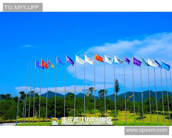 重磅专题：探索BLG在整体压制领域的创新与变革之路