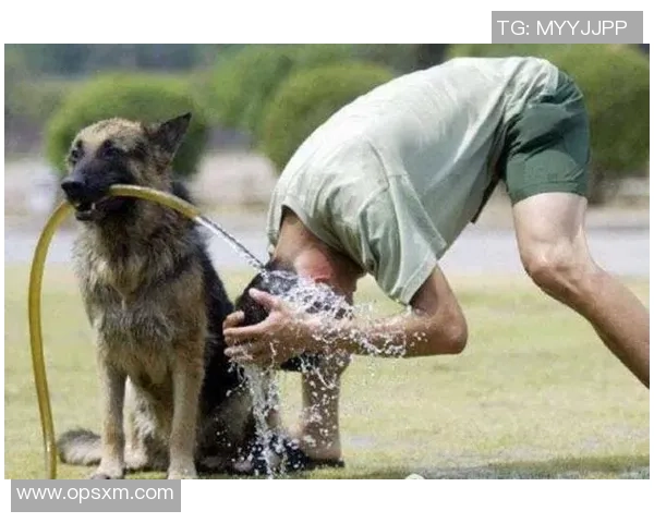 北京足球队团队协作引发热议球迷与专家各执己见的争论分析