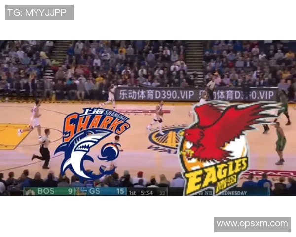 北京排球队在钻石联赛中的实力展现与未来发展潜力分析