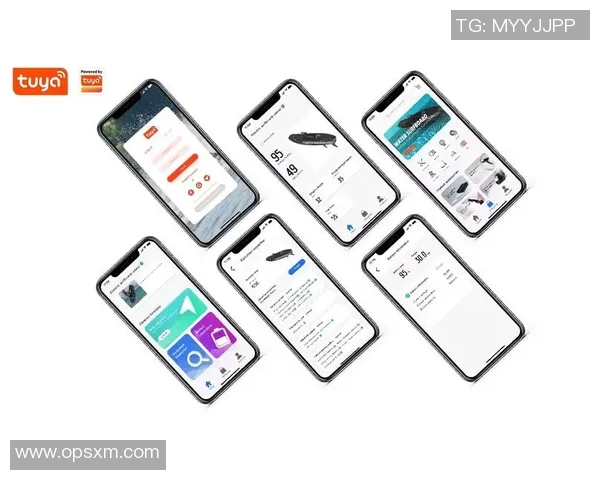 杭州极限运动队灵活性分析与表现评估的深度研究与探讨